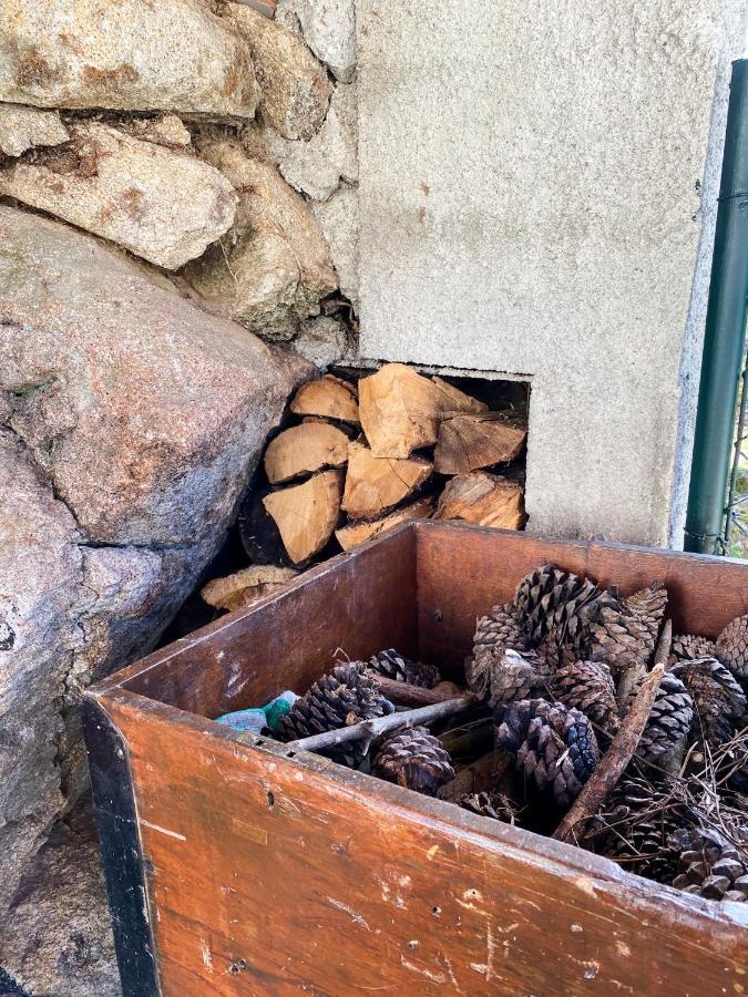 Encosta Do Sol Apartman Canas de Senhorim Kültér fotó