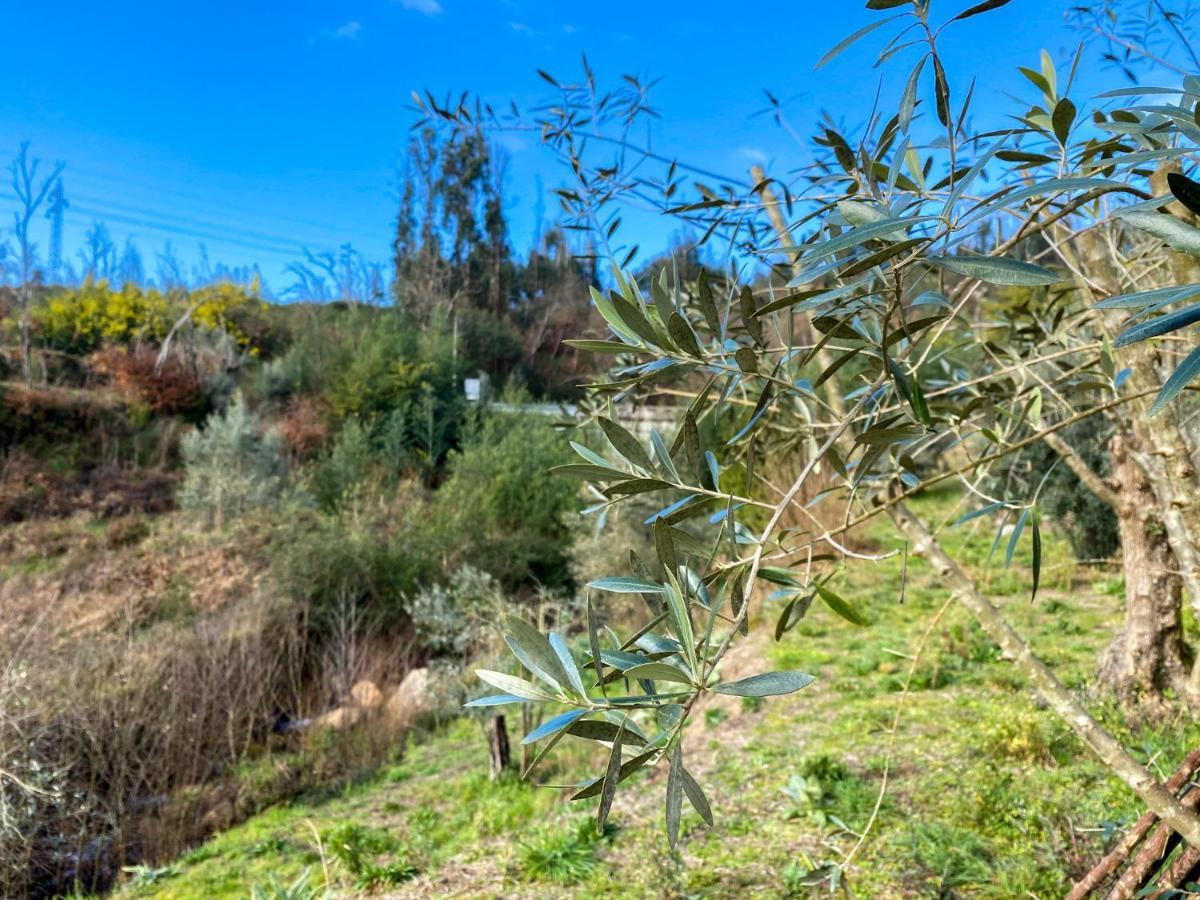 Encosta Do Sol Apartman Canas de Senhorim Kültér fotó