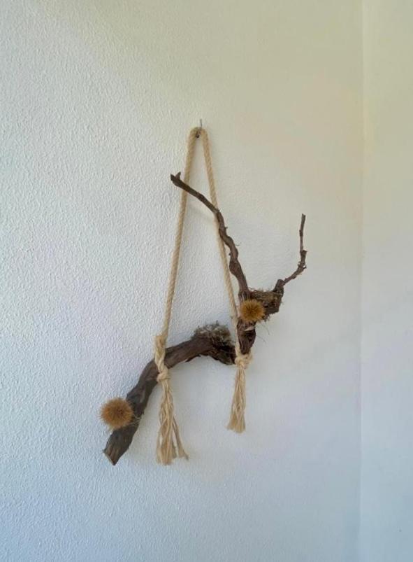 Encosta Do Sol Apartman Canas de Senhorim Kültér fotó